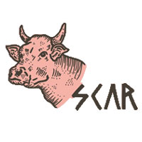 Scar